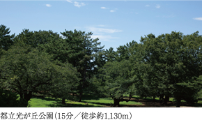 都立光が丘公園（15分／徒歩約1,130m）