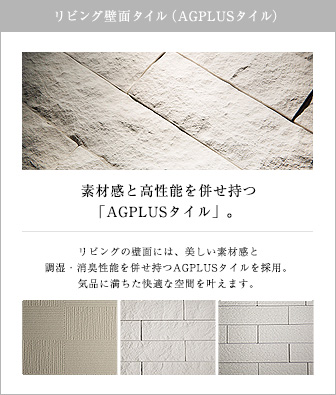 rOǖʃ^CiAGPLUS^Cj